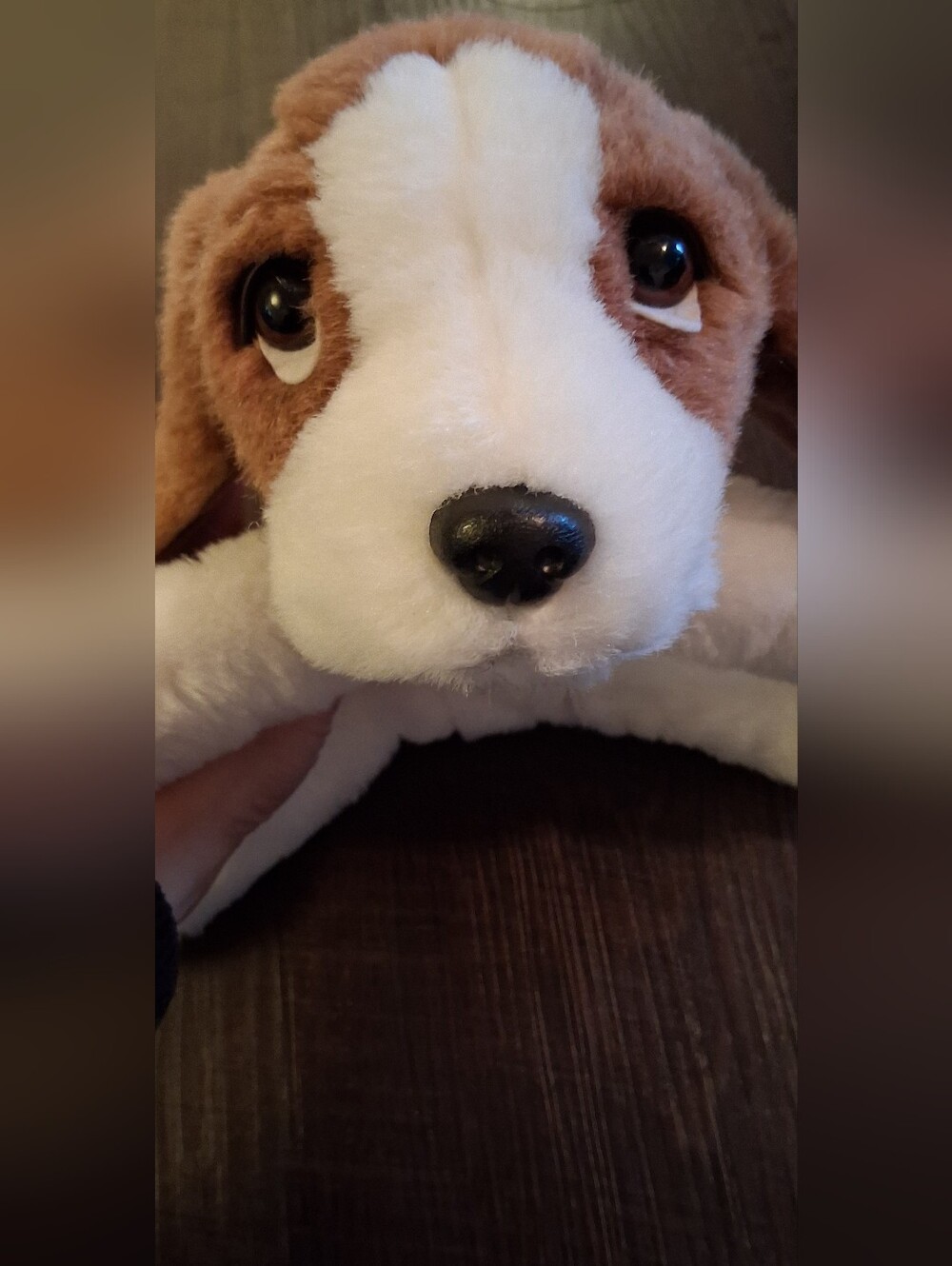 vintage 1997 Ty Classic Collection Sherlock the Basset Hound plush.